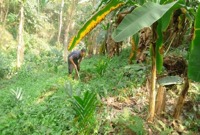 G:\VILLAGE REPORT PICTURES\mawker latest\WhatsApp Image 2023-02-06 at 12.51.44.jpeg